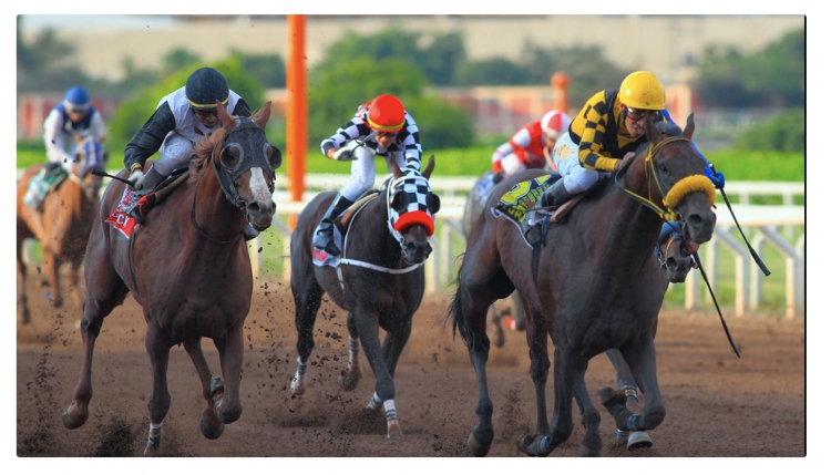 Gran Premio Latinoamericano 2024: ¡Este 14 de abril prepárate para el espectáculo de las carreras de caballos más emocionante del año!